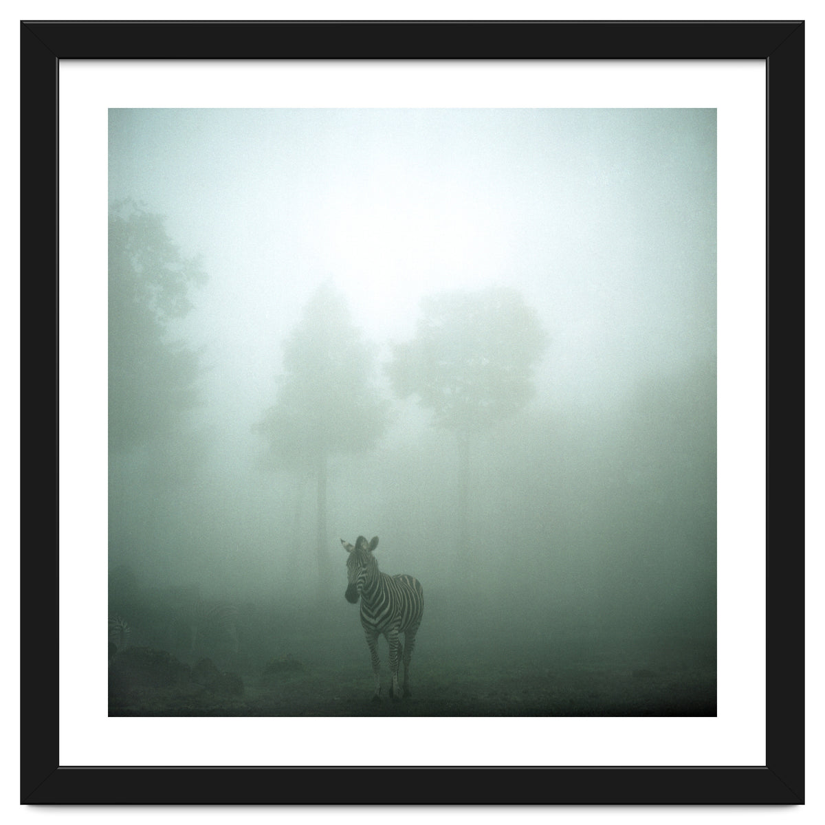 Silence of breath - 01