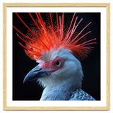 Secretary Bird thumbnail