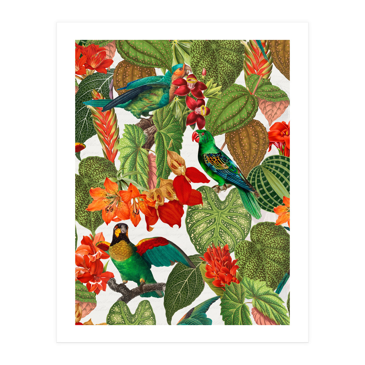 Tropical Parrots In Flower Jungle  (Print Only)