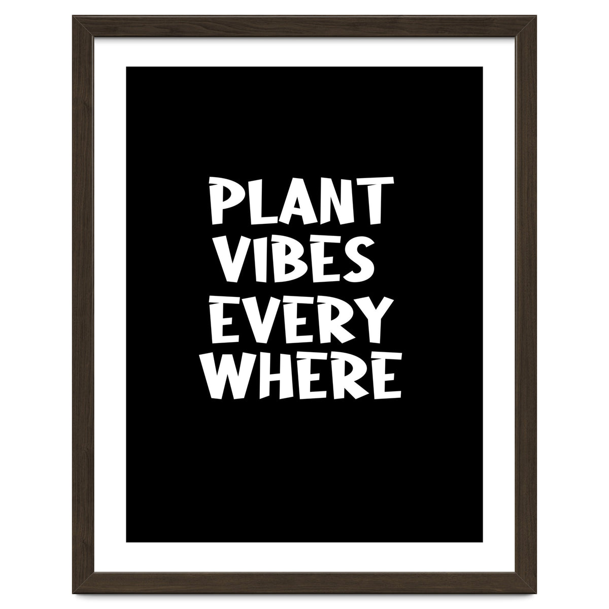 Plant vibes everywhere