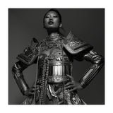 Samourai armor (Print Only) thumbnail