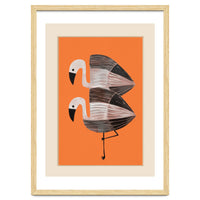 Tangerine Flamingos