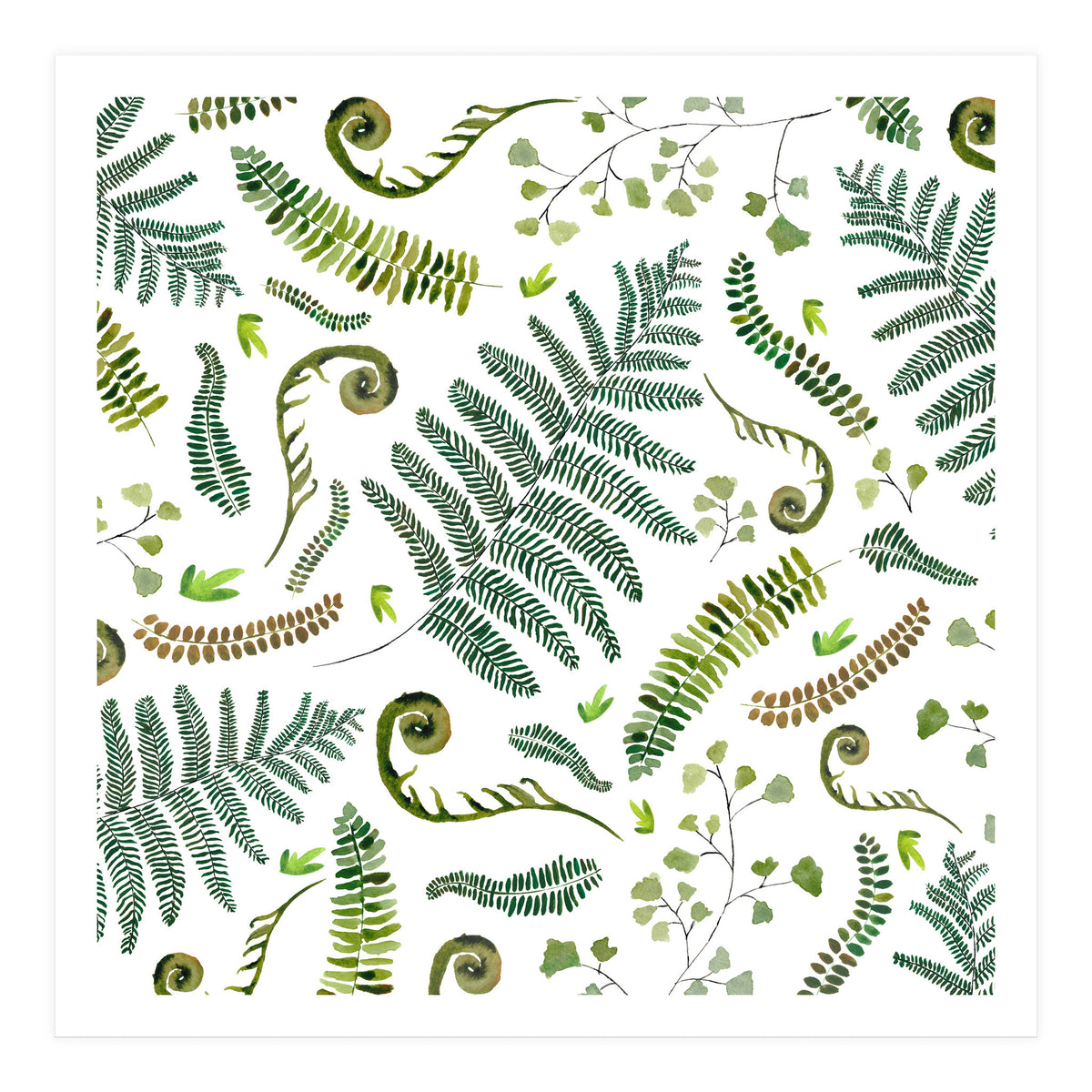 Spring Fern Pattern (Print Only)