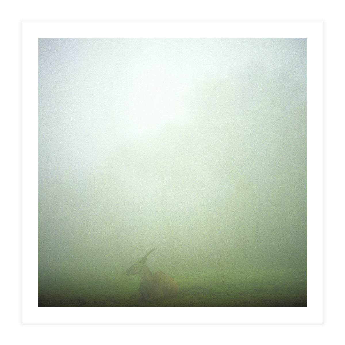 Silence of breath - 06 (Print Only)