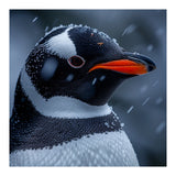 Close Up Penguin Portrait In Snowy Weather (Print Only) thumbnail