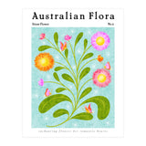 Australian Flora: Straw Flower (Print Only) thumbnail