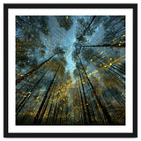 Enchanted Night Forest with Glowing Fireflies thumbnail