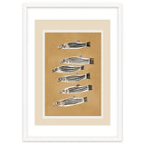 Minimal Fish Study thumbnail