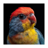 Close Up Colorful Parrot Portrait Vivid Plumage (Print Only) thumbnail