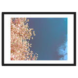 Leaves And Sky thumbnail