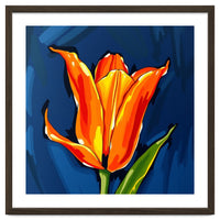 Lily Fresh