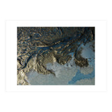 Alive (Print Only) thumbnail