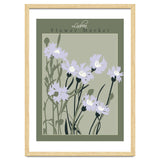 Flower Market Lisboa Cornflower thumbnail