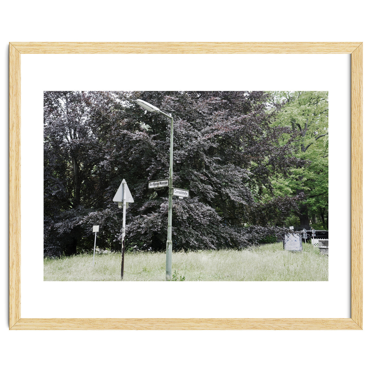 Signs at the corner of the street