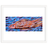 Little fish thumbnail