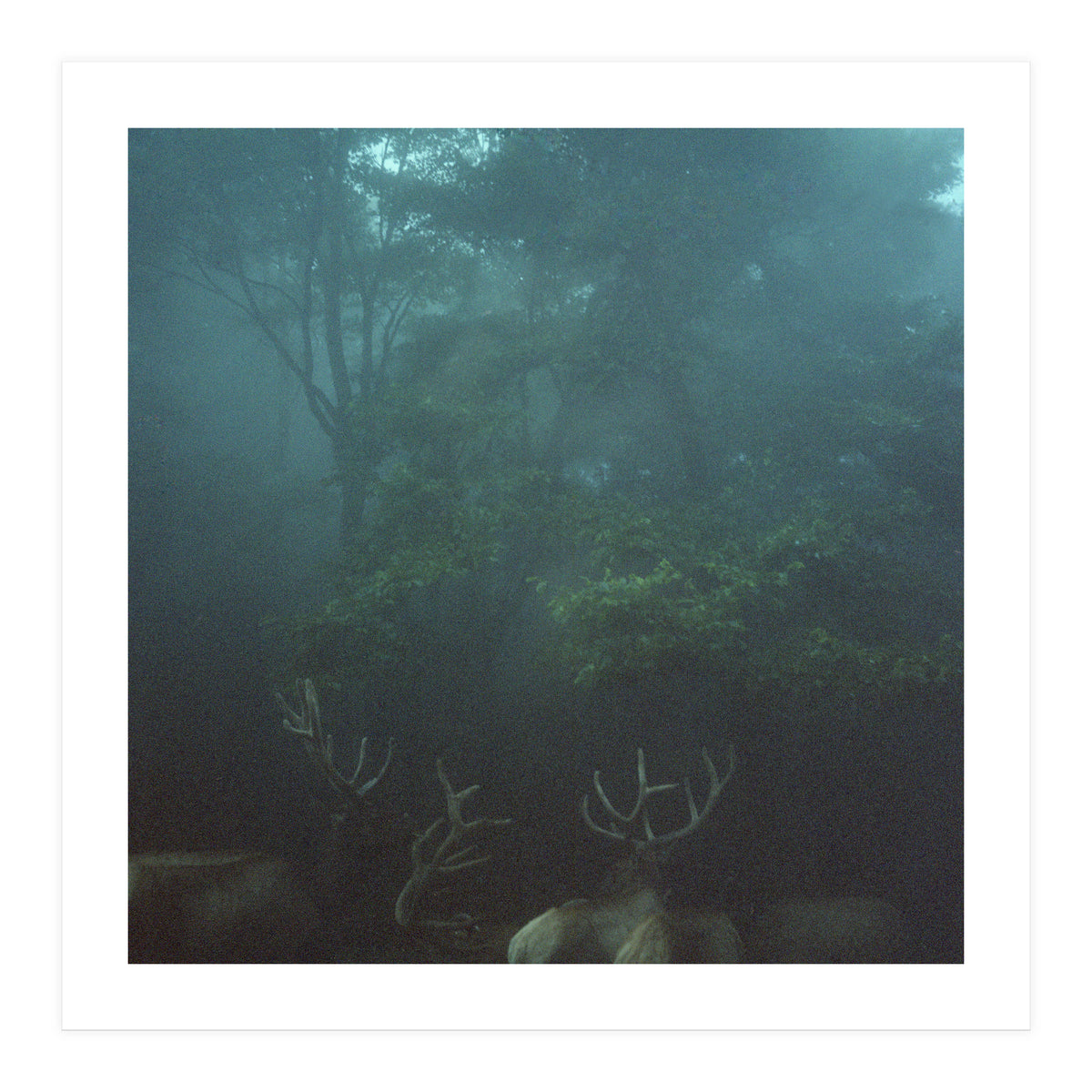 Silence of breath - 12 (Print Only)