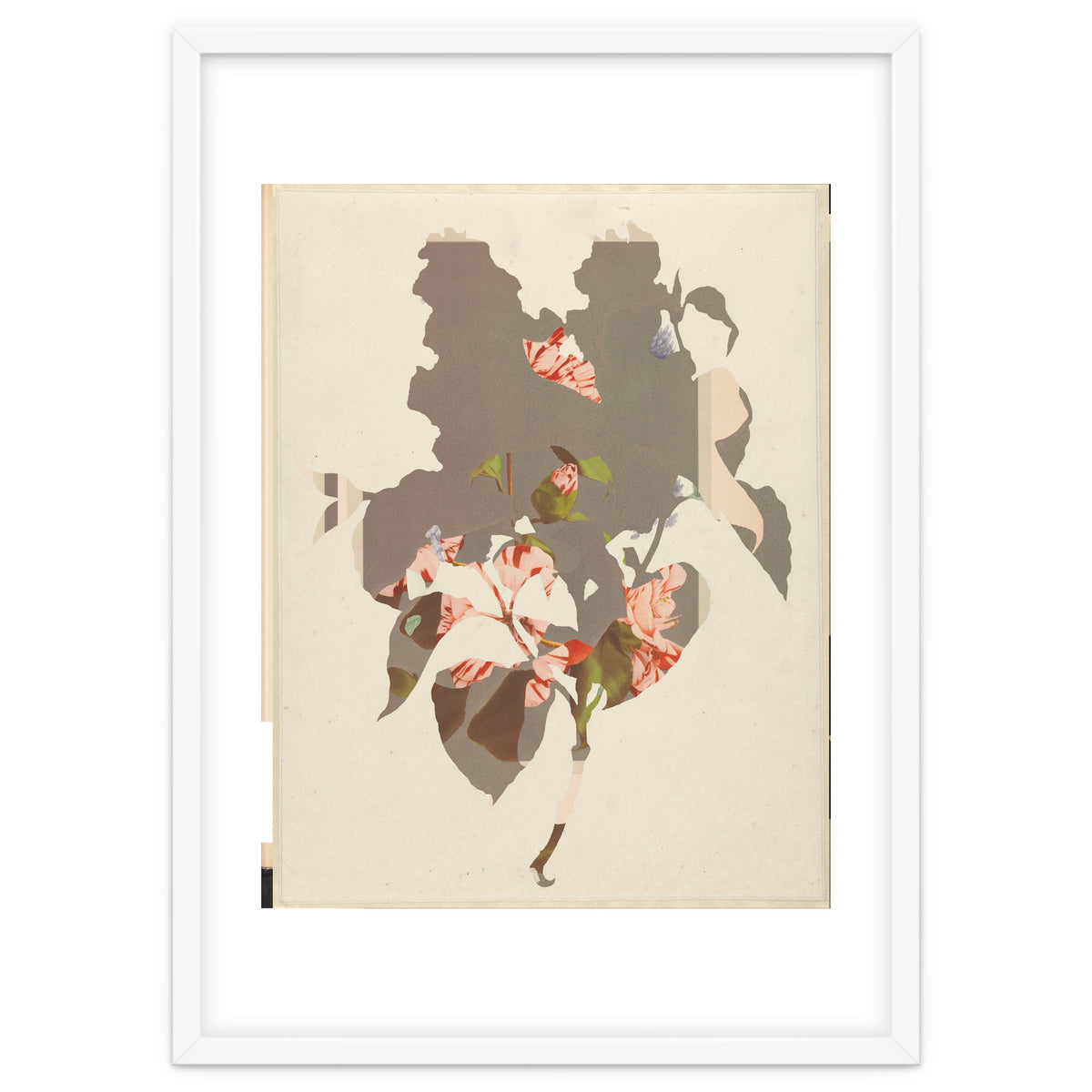 The First Plant · M2