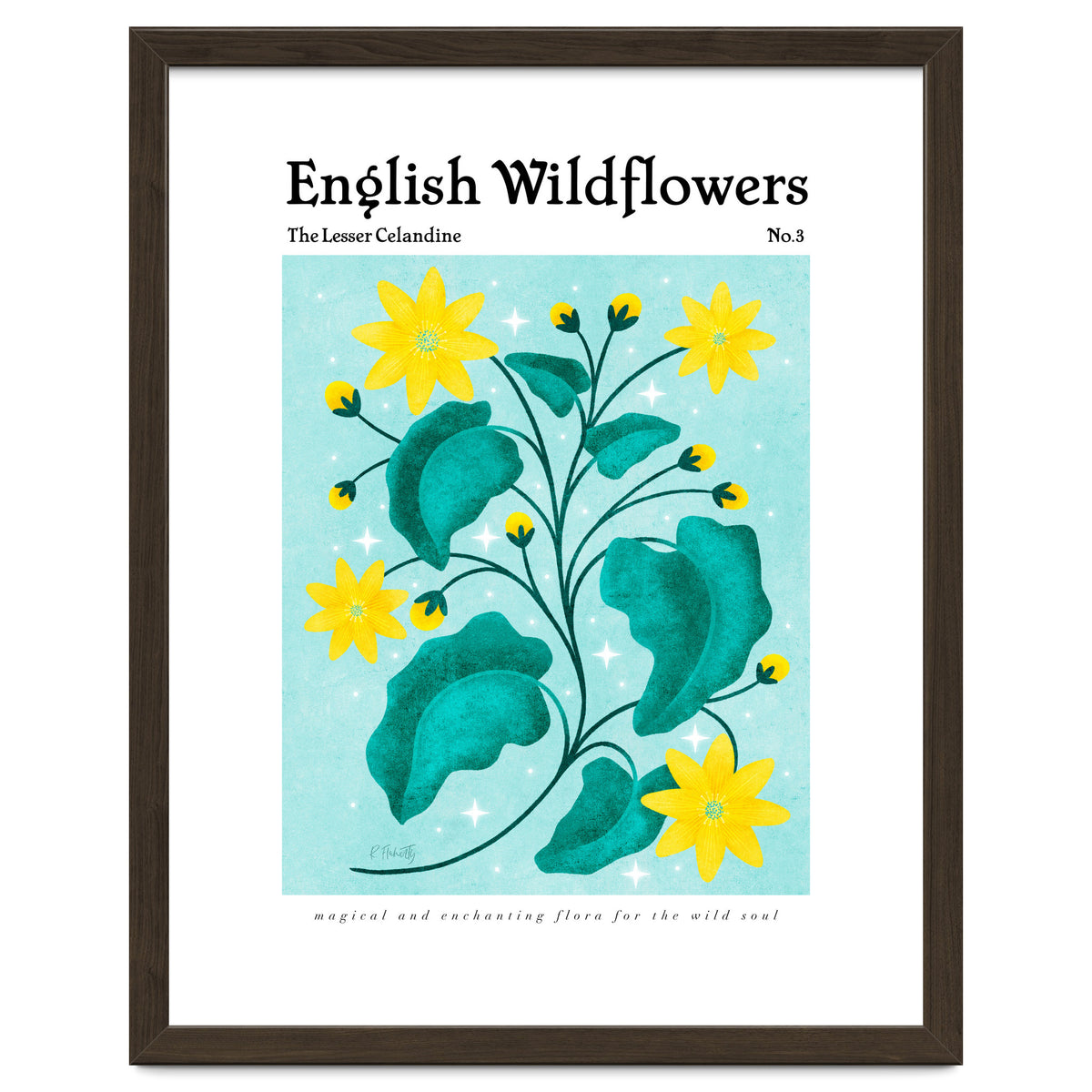 English Wildflowers | Lesser Celandine