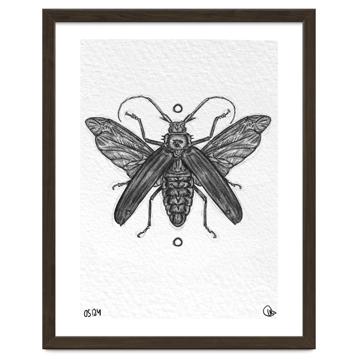 Riesen Longhorn Käfer