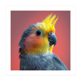 Cockatiel Parrot Head Close Up Portrait (Print Only) thumbnail