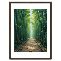 The Emerald Path: A Sun-Drenched Journey