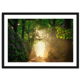Hare in paradise thumbnail