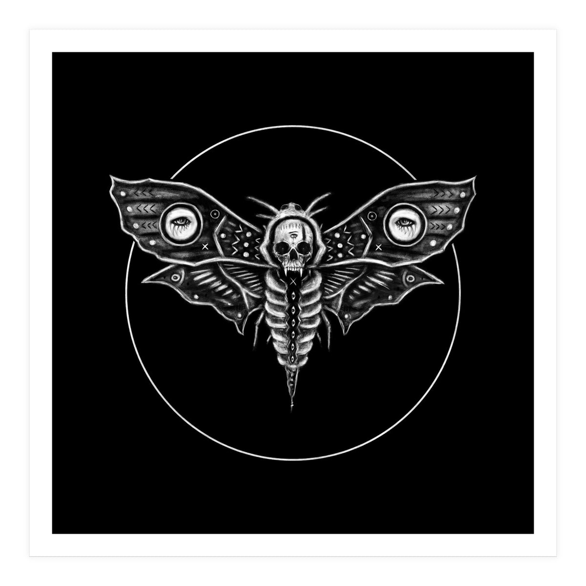 Deaths Head Moth (Print Only)