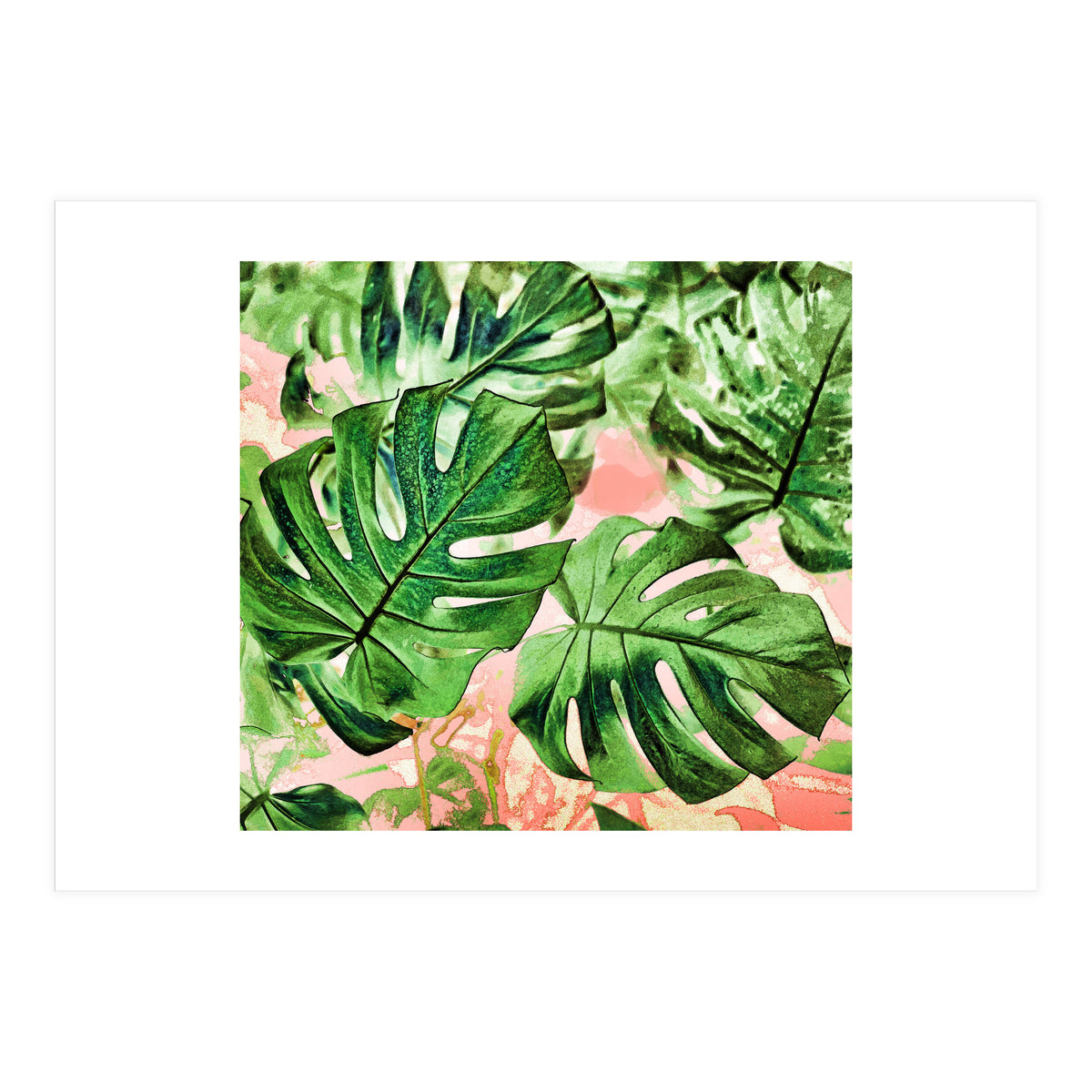 Monstera Beauty #society6 #decor #buyart (Print Only)