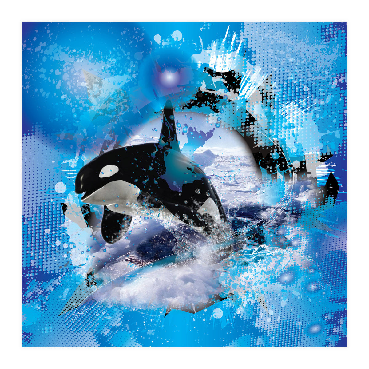 Orca (Print Only)