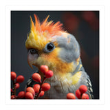Close Up Of A Cockatiel Parrot With Orange Crest (Print Only) thumbnail
