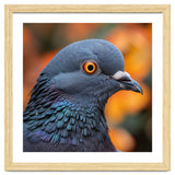 Close Up Of A Pigeon's Head And Neck thumbnail