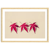 Dancing Leaves
