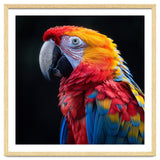 Scarlet Macaw Parrot Vibrant Plumage Close Up thumbnail