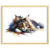 Maine Coon Resting Portrait