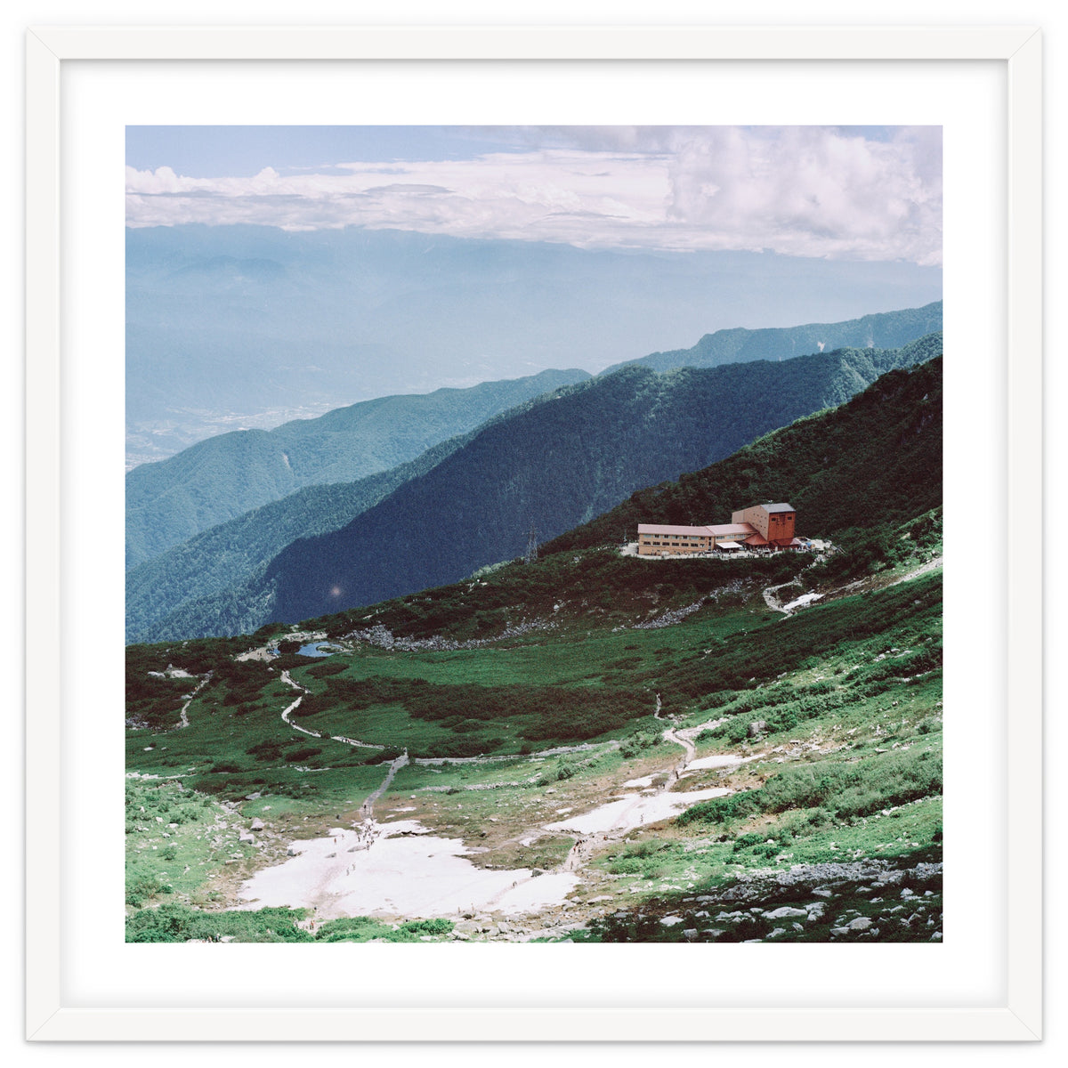 SKIN OF NATURE - WILD MOUNTAIN