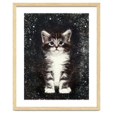 Bicolor Cute Kitten Portrait thumbnail