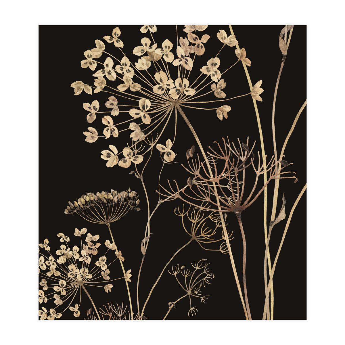 Wildflowers I (Print Only)