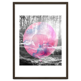 Baby Elephant In A Balloon thumbnail