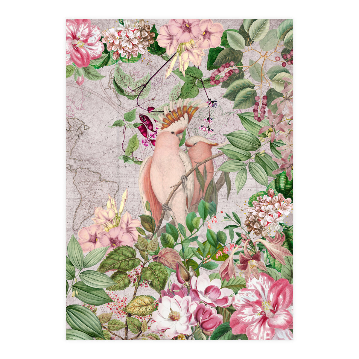 Parrot Exotic Jungle  (Print Only)