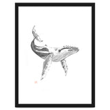 Whale thumbnail