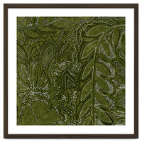 Forest Dense Foliage