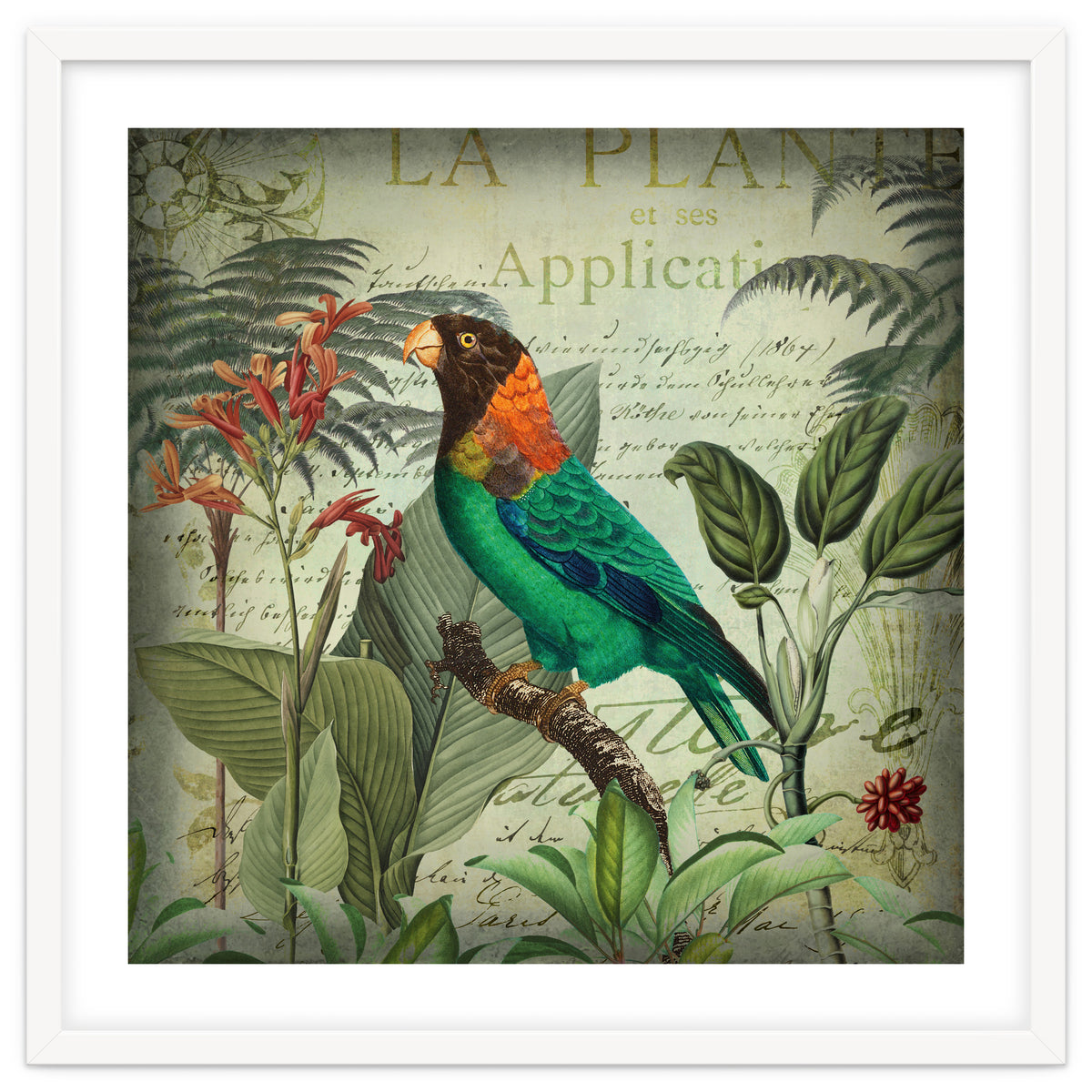 Tropical Bird Nostalgia