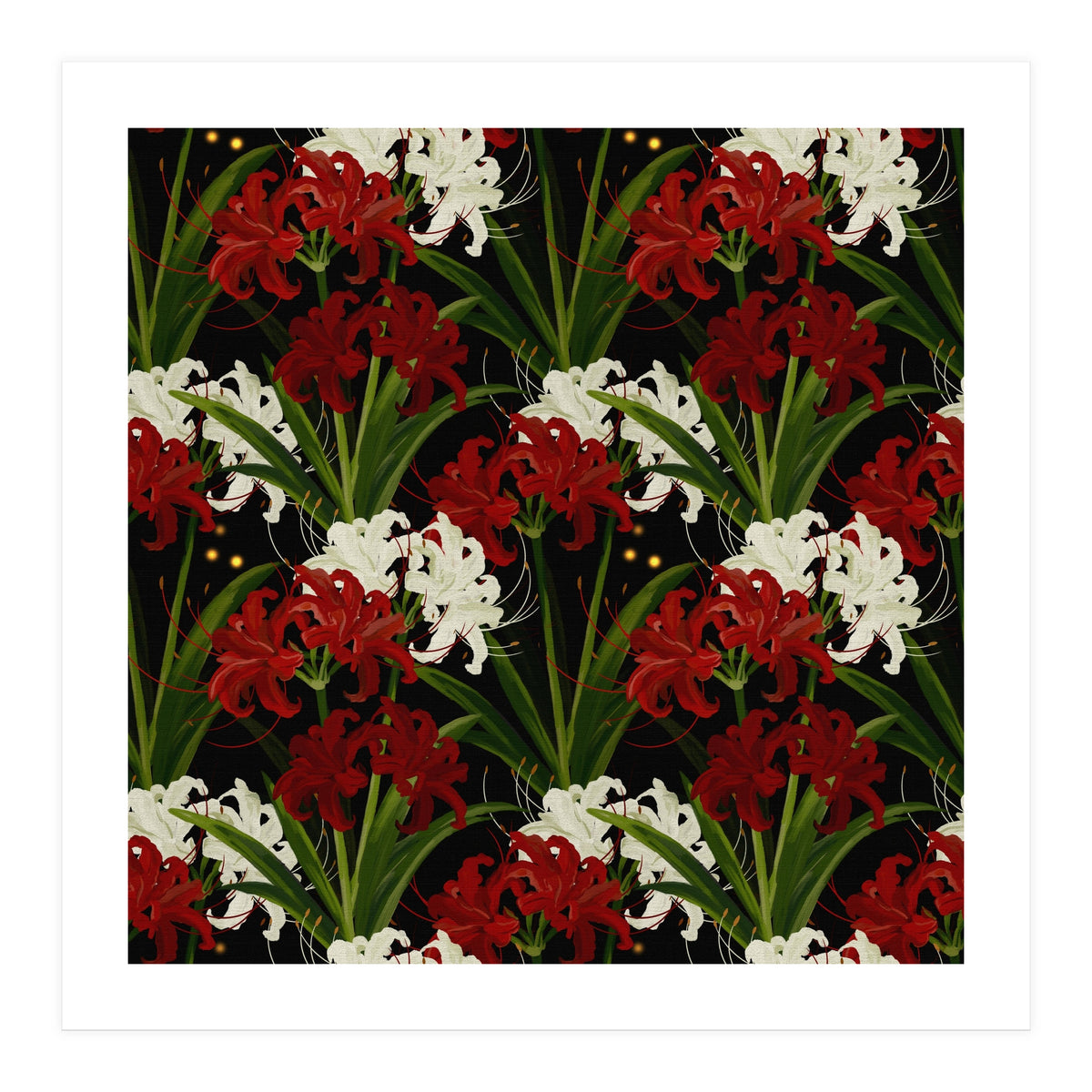 Red and White Spider Lily Flower Print Elegant Botanical Japanese Inspired Floral Artwork (Print Only)