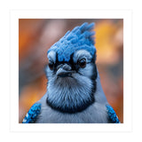 Close Up Blue Jay Bird With Detailed Feathers (Print Only) thumbnail