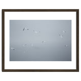 Flying seagulls in the winter sky thumbnail