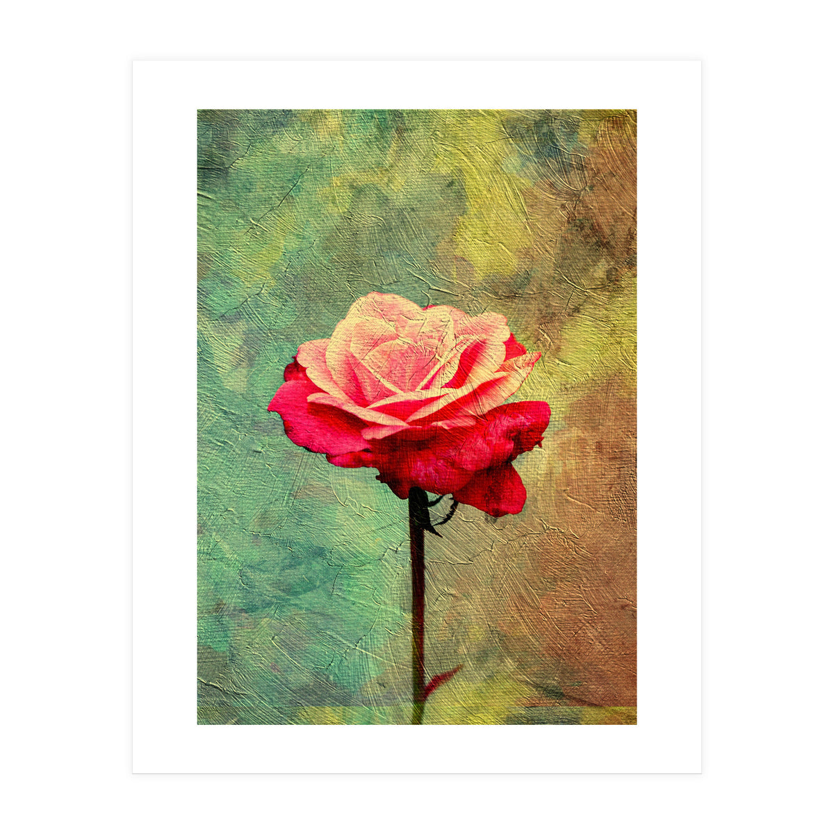 A Vibrant Red Rose  (Print Only)