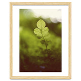 Out of the green thumbnail