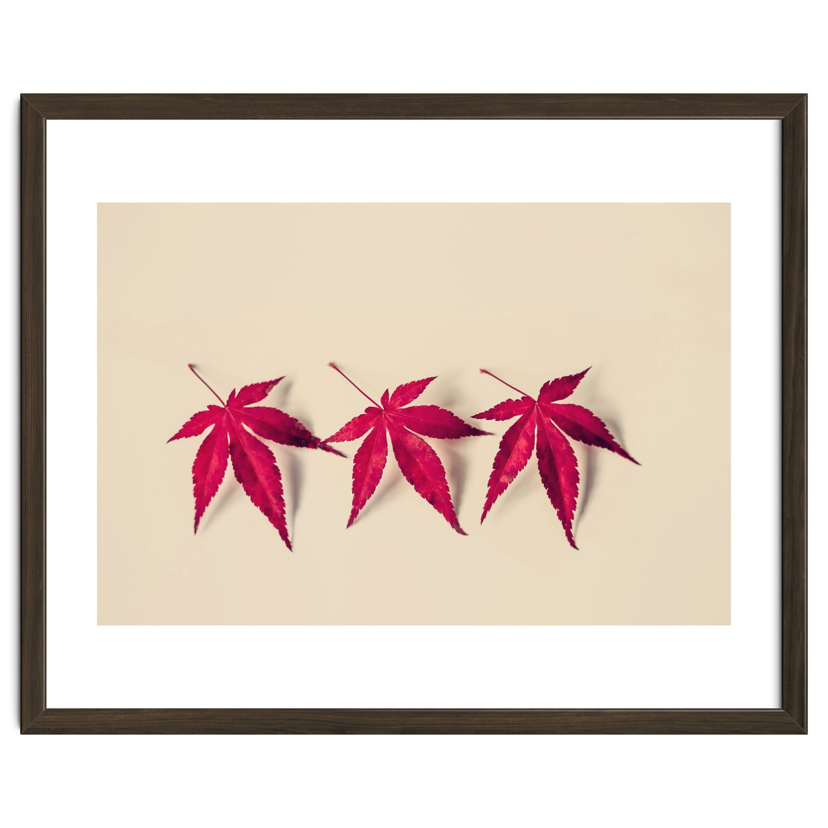 Dancing Leaves