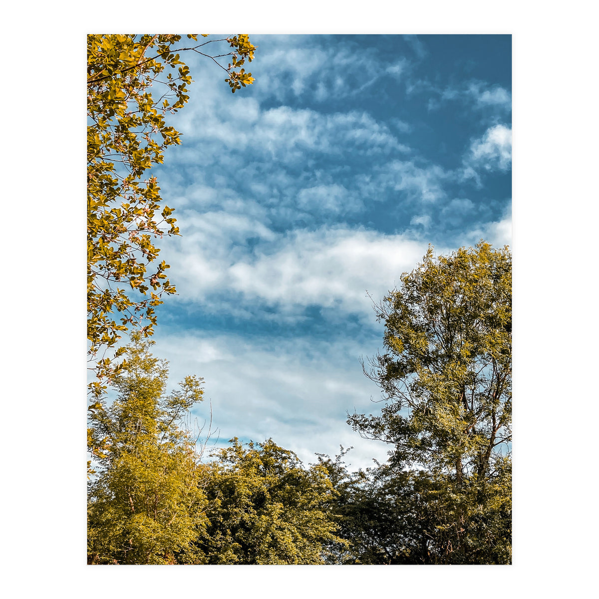 Autumn Evening (Print Only)