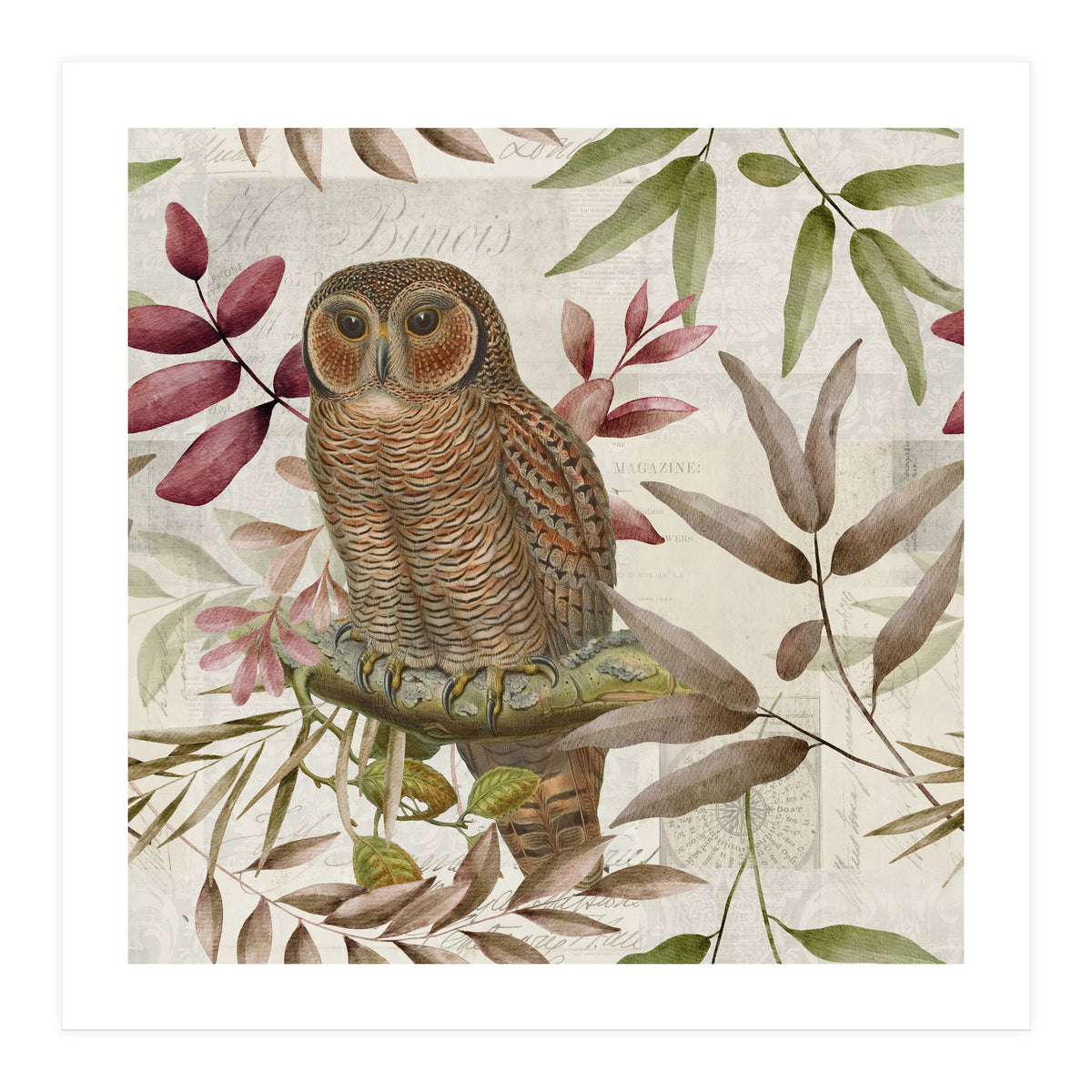 Autumn Owl (Print Only)